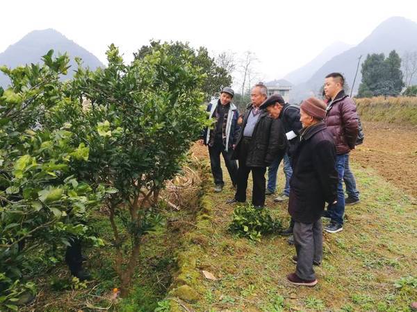 松桃苗族自治县迓驾镇晚森村得到三农服务团