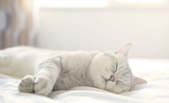 睡眠质量差,原因竟然因为它,教你1招,从此和失