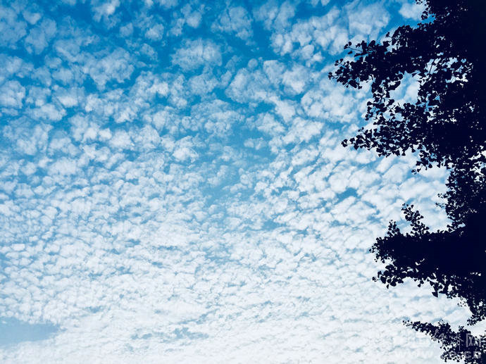 白衣服容易变黄怎么办?几个小技巧一定要知道