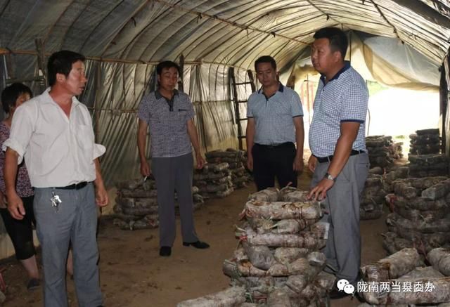 决战脱贫奔小康泰山乡人大代表当好六大员助