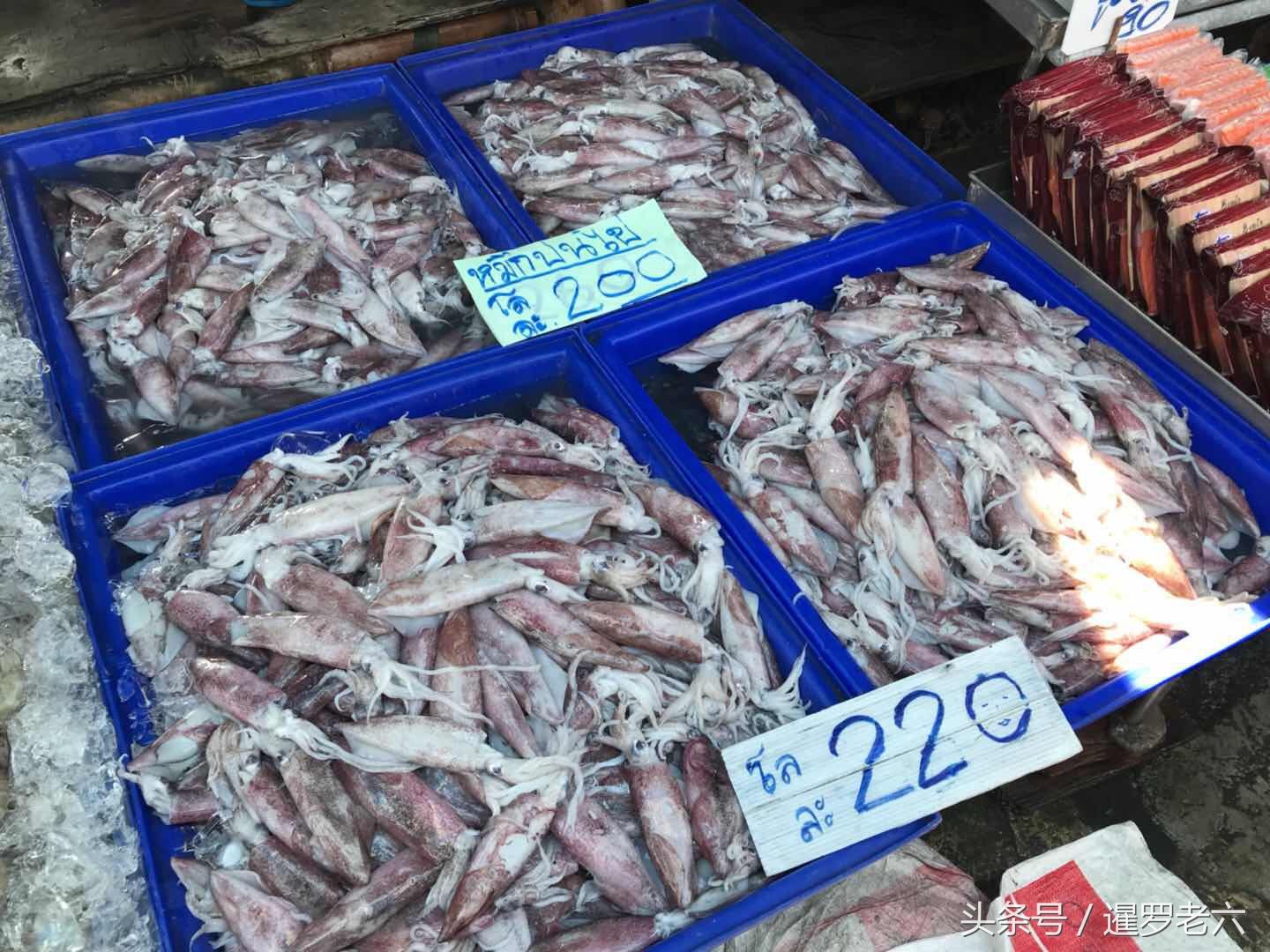 都说泰国海鲜便宜!您看看这些海产品的价格,也