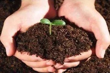 张翰入境被罚3万?2018年中国入境政策改革,小