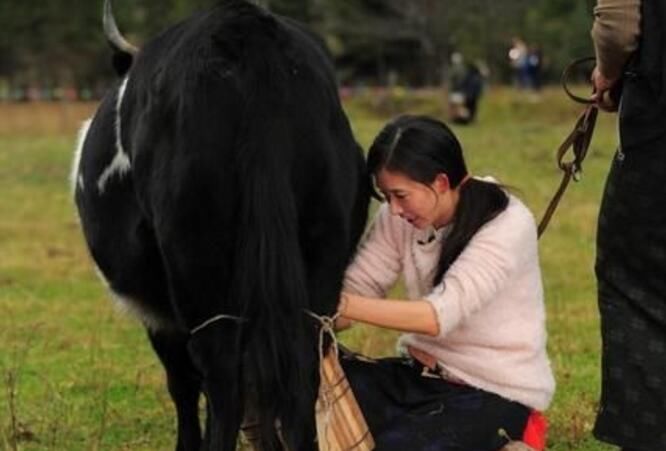 六位女明星干农活的照片,秋瓷炫光脚丫最接地