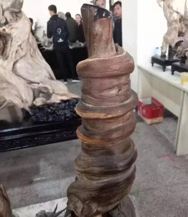 油性决定着崖柏的质量,没有油性的崖柏,基本也就没有了药用价值.