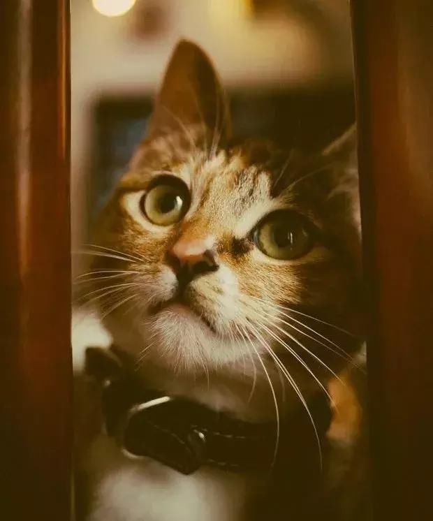 情感语录:很甜很撩的句子,适合做微信签名!