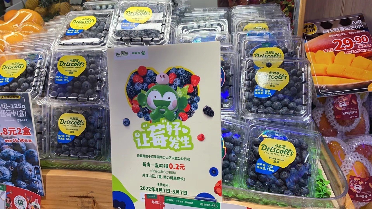 让“莓”好发生，怡颗莓和百果园携手中国扶贫基金会助力山区教育