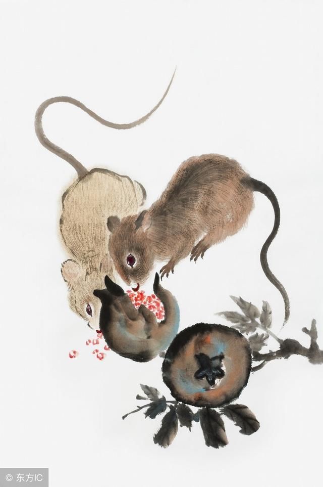 生肖鼠:明天开始开启人生新篇章,财力提升不是一点点
