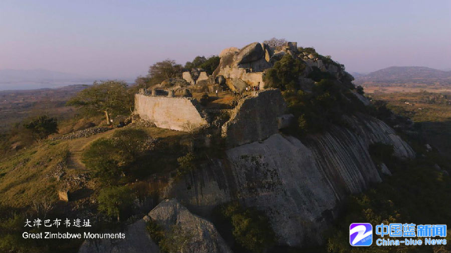 搭专机看狮子去!浙江将组万人团前往非洲打
