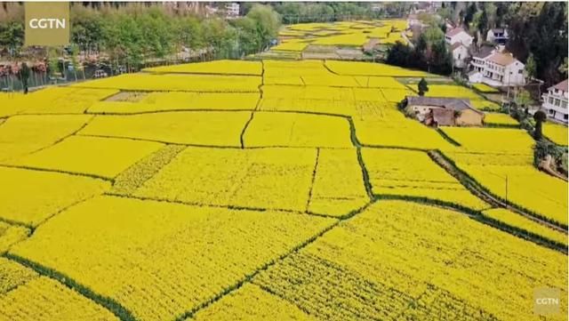 外国人眼中的航拍中国!印度网友:不要理会那些