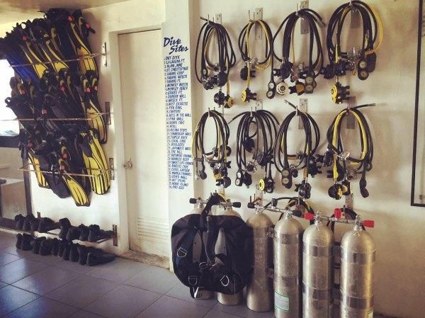 菲律宾考潜水证 PG海豚湾-热浪潜水之OW