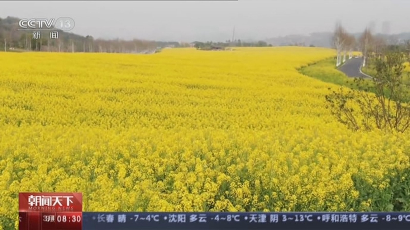 春天里的中国 跟随镜头一探美好景色 春天里的中国 跟随镜头一探美好景色