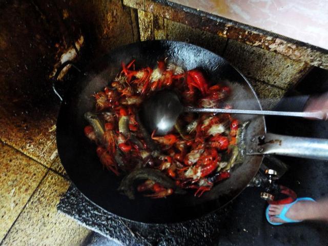 藻泽地里夜钓龙虾,没钓多少就被吓回家