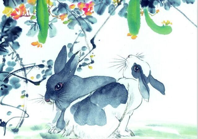 锦衣玉食,一生何求!1963年55岁的苦命兔何时