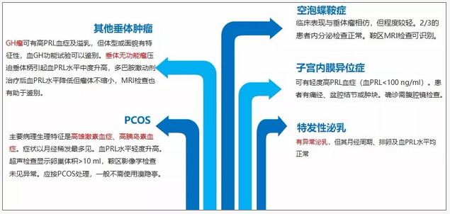 向光大教授:高泌乳素血症和泌乳素瘤的规范化