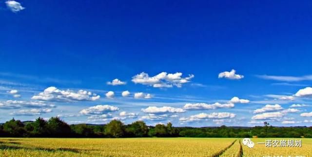 关于地方乡村振兴战略实施的思考,50条政策将