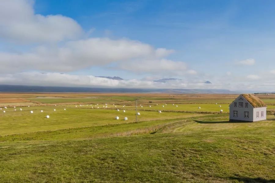 【第13周】美国的乡村发展计划