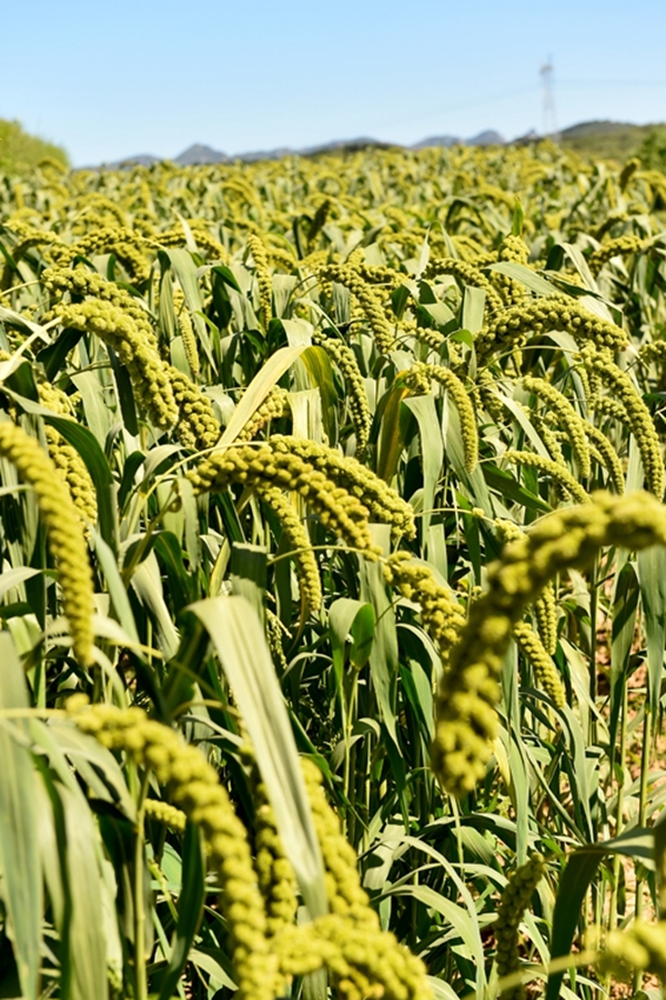 山西盂县:王炭咀村入选2018年中国美丽休闲乡村