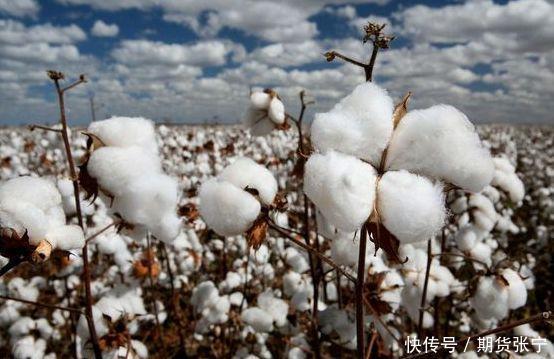 期货张宁-棉花2018年一季度报告股票外汇原油