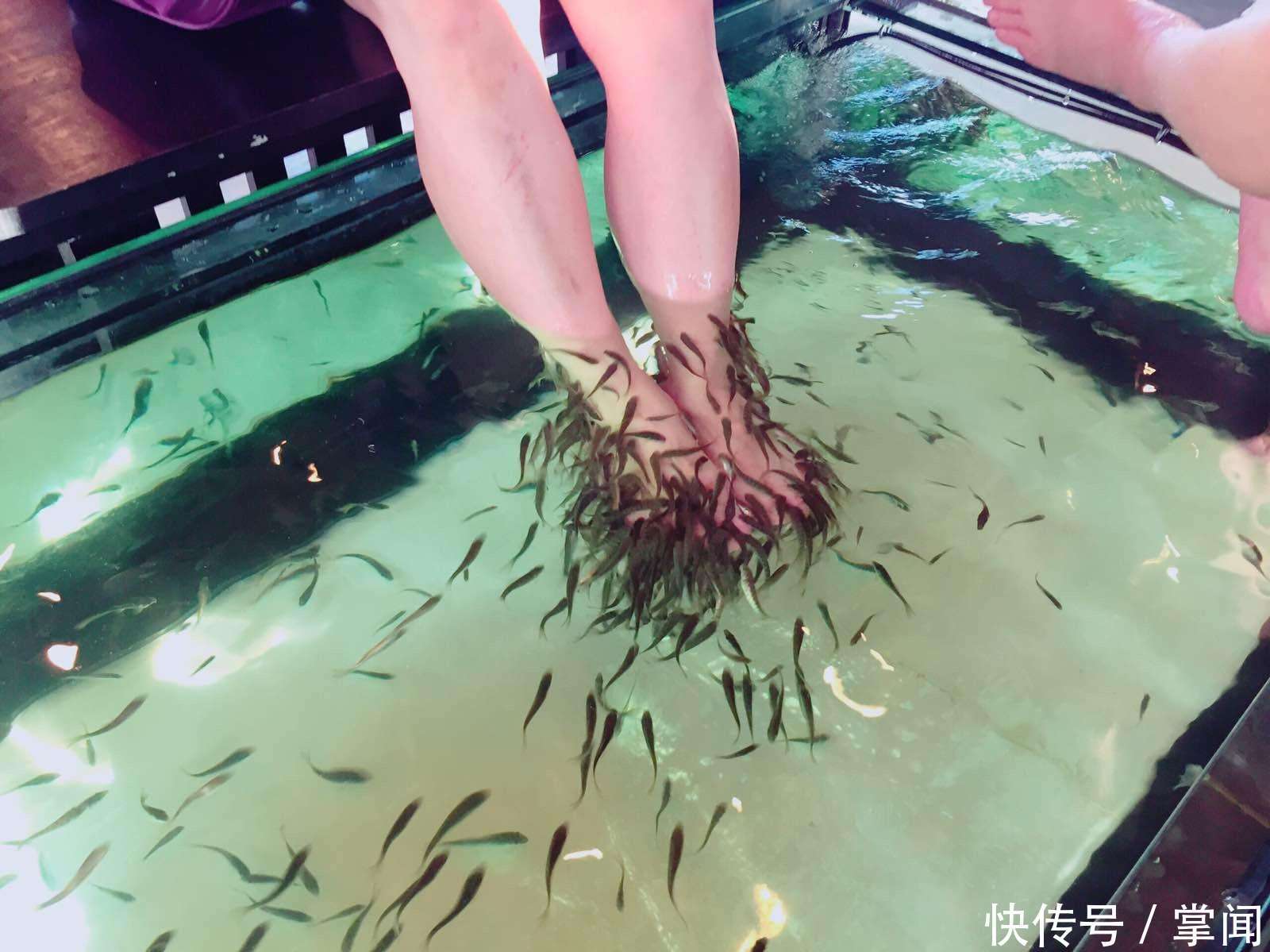 女子一个月不洗脚,好闺蜜带她去做鱼疗,结果店