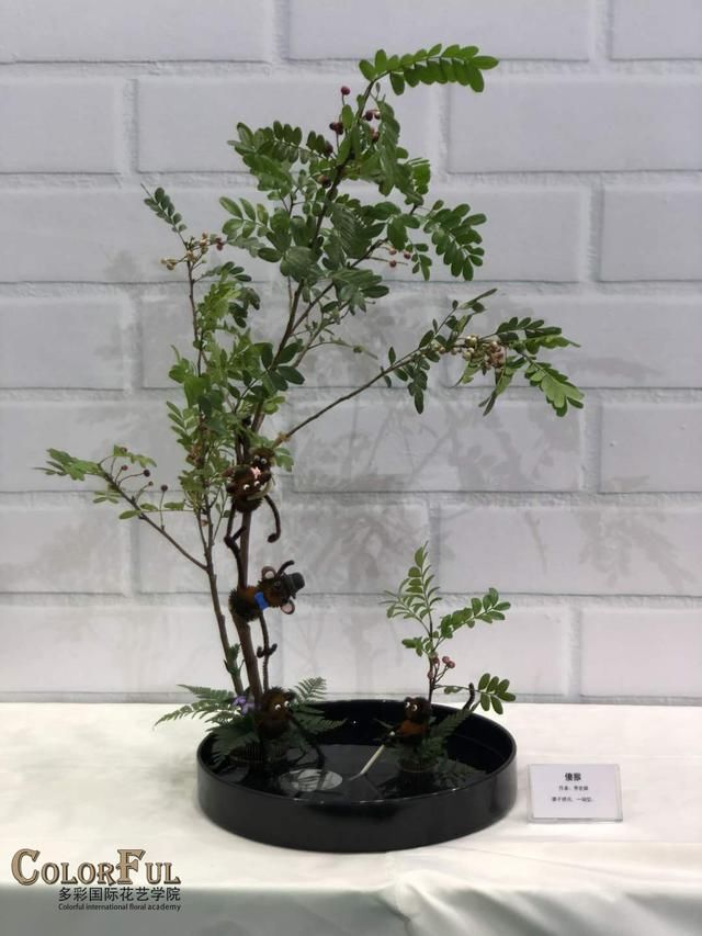 2018昆明零交会,除了花花世界,还有哪些看点?