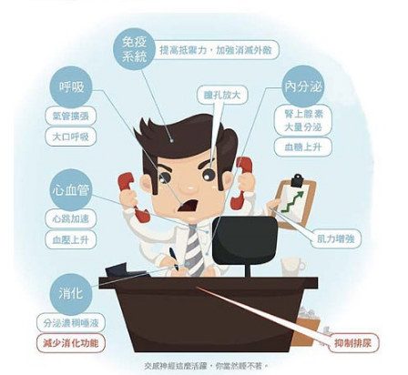 想睡好关键在养肠!吃对4类食物稳定肠道1亿个