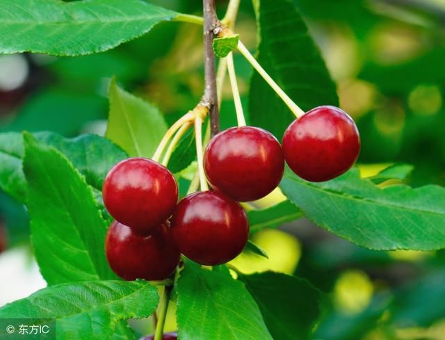 你知道玉皇大帝叫什么名字吗?8个超有趣的冷