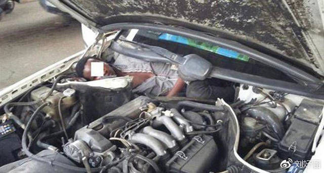 俩男子扒飞机偷渡坠地身亡,这些人的偷渡方法