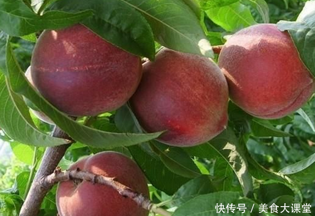 世界10大珍稀水果,价值极高,最后2个只有中国