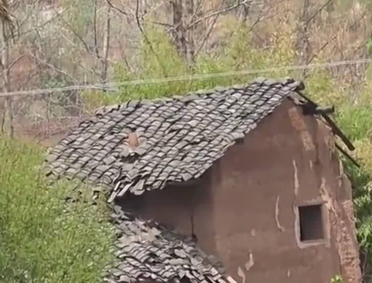 宅基地确权后,3种人可以申请宅基地,2种人会失