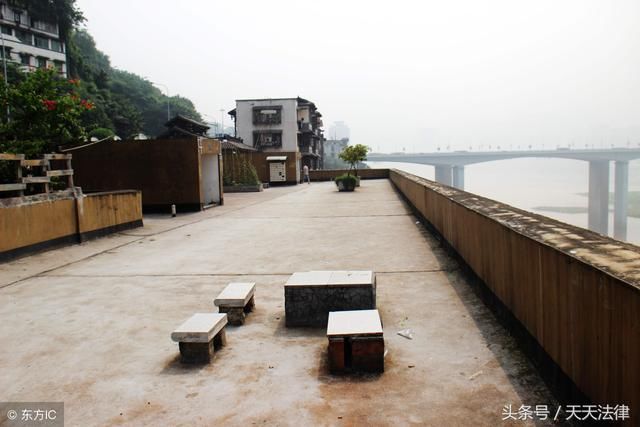 焦点:楼顶的平台属于小区业主共同所有吗?