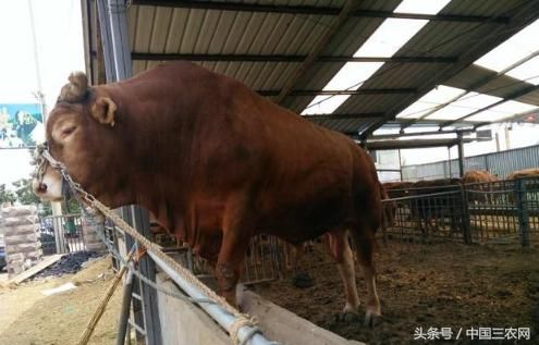 开元棋牌- 开元棋牌官方网站- 开元棋牌APP下载什么是投机什么是投资？看懂股市与楼市背后的逻辑