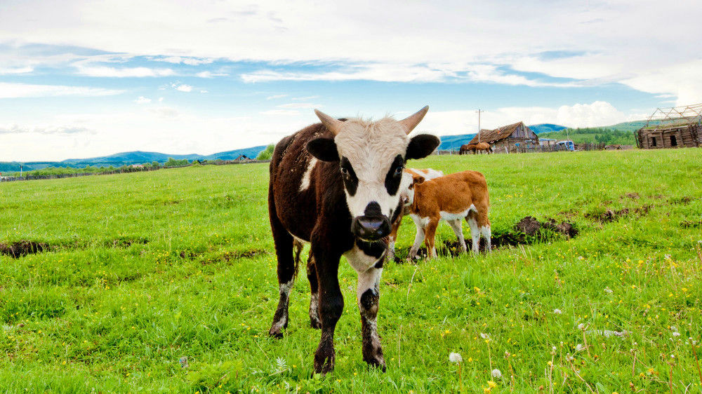 2018端午去哪玩,人少景美的端午好去处推荐