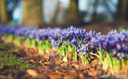 2018走心的短句励志个性签名,励志成熟走心的