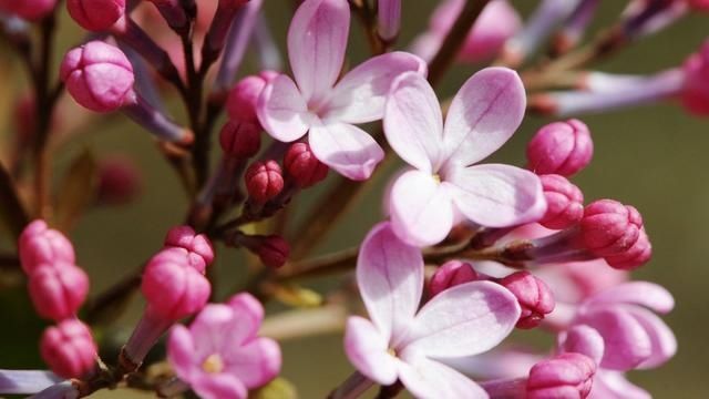 大乐透:体彩主任厉害,服了