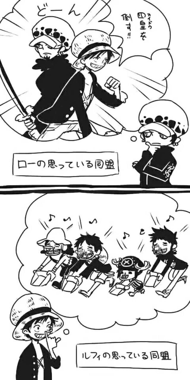 海贼王丨顶上战争时,罗为什么救路飞?