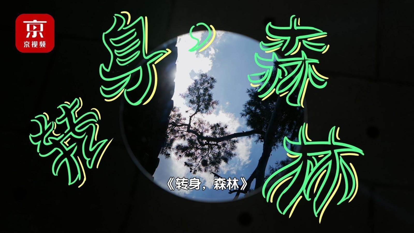 北京二环里竟存在五个足球场大的森林？今晚9点50分为您揭秘——