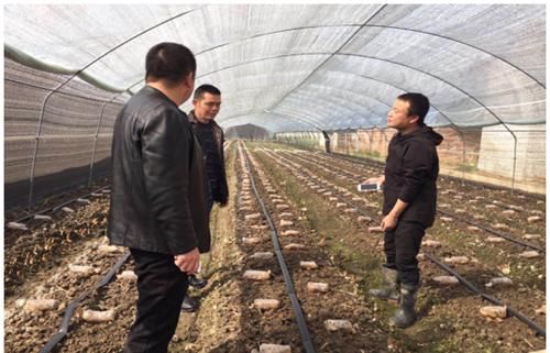 德阳扬嘉镇发挥人大职能助推乡村振兴