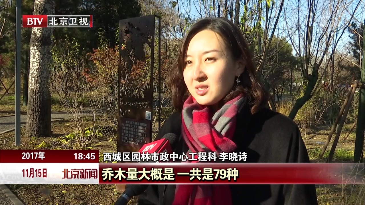 森林进城 北京市西城老城区拆违增绿近四万平方米 森林进城 北京市西城老城区拆违增绿近四万平方米
