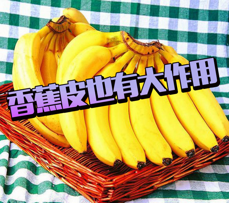 吃完香蕉别扔皮!香蕉皮说:人家用处大着呢!