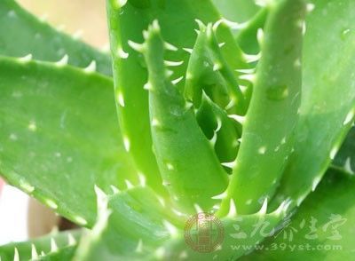 脸上有红血丝需要注意什么 有红血丝吃什么好