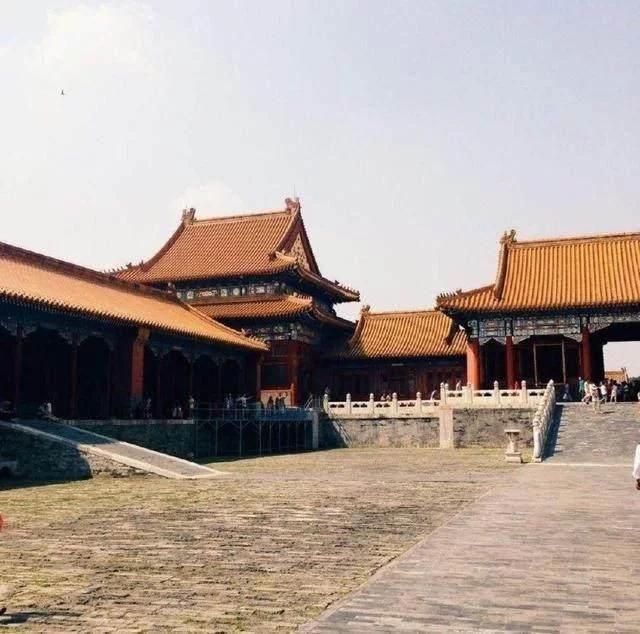 故宫为什么会有那么多乌鸦?说出来都怕你不敢