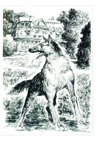 杰克·伦敦:绝不为苟活虚度光阴