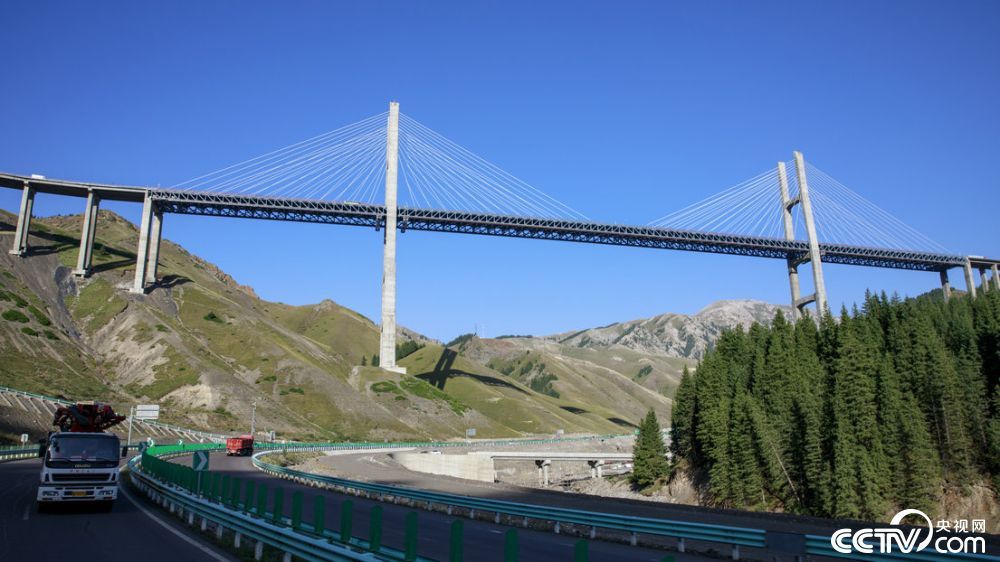 桥梁全长700米，桥面距谷底净高达200米，主塔高度分别为209米和215.5米。