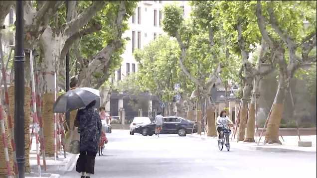 杭州滴滴师傅接大单2870元! 从河南到郑州后乘