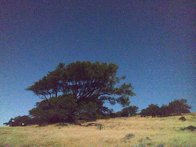 手机PK单反并非传说 方法其实简单粗暴