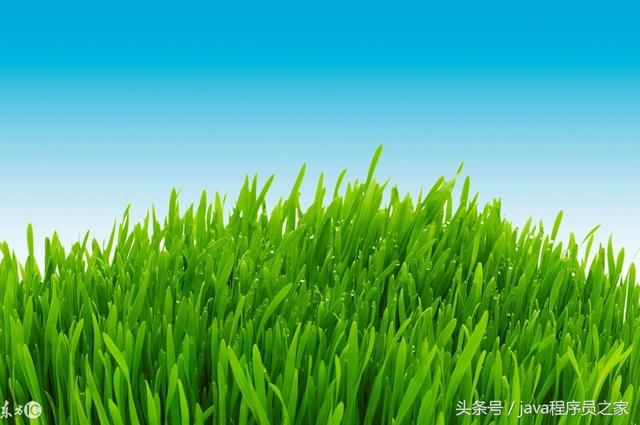 Spring Security基于表达式的权限控制