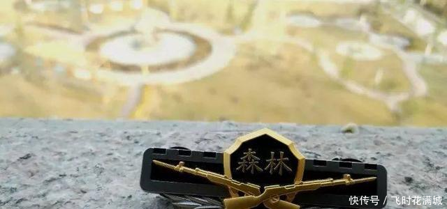 致敬即将转隶地方的武警森林部队,就不要再叫