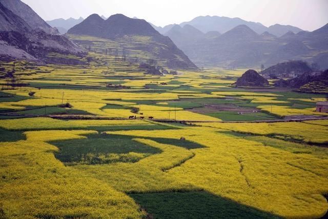 中国惟一一个叫特却的县级行政区不在沿海在贵