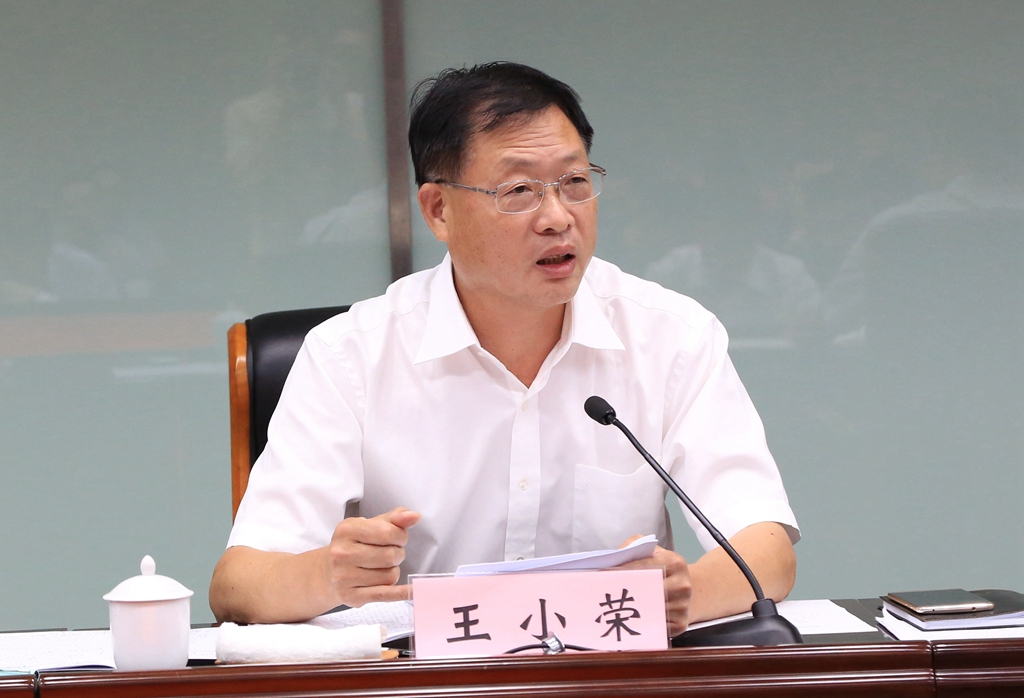 (图为王小荣副市长讲话)