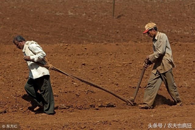 农村老话说:人穷莫交友,落难莫寻亲,听起来句